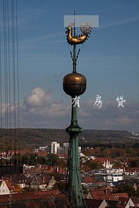 有房贷 信用卡逾期 有房贷 信用卡逾期